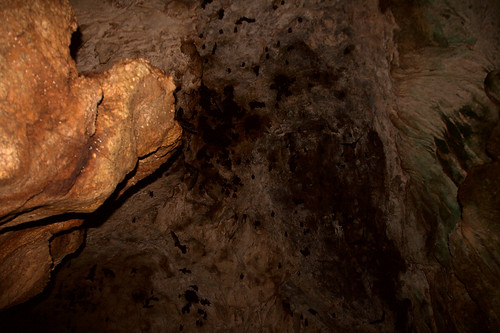 nationalpark costarica corcovado cave bats parquenacionalcorcovado