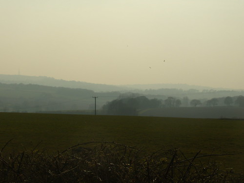 Misty landscape Rye Circular