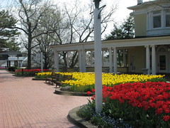Oglebay Park Tulips outside Mansion