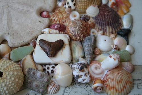 shell art | by pam garrison
