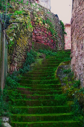 Scala verde... | by rana63...