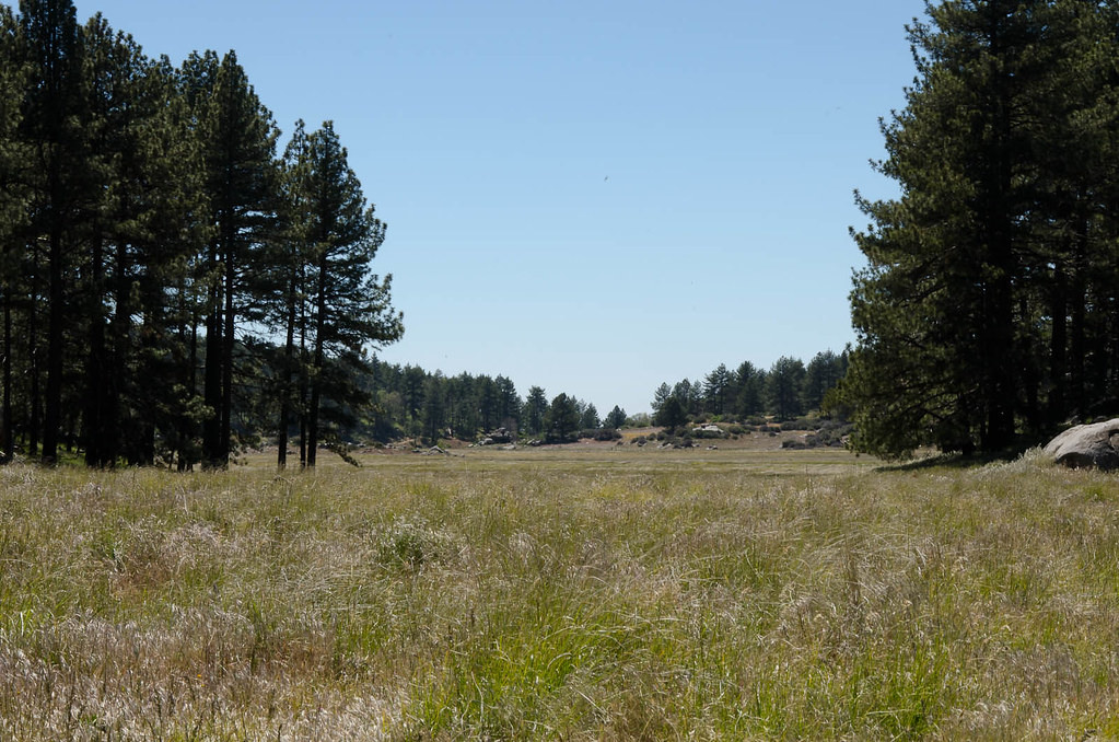 Agua Dulce Trail