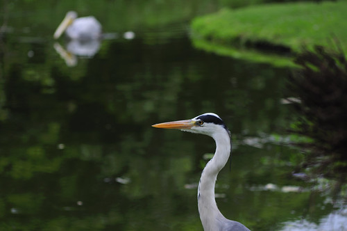 Durban Botanical Gardens