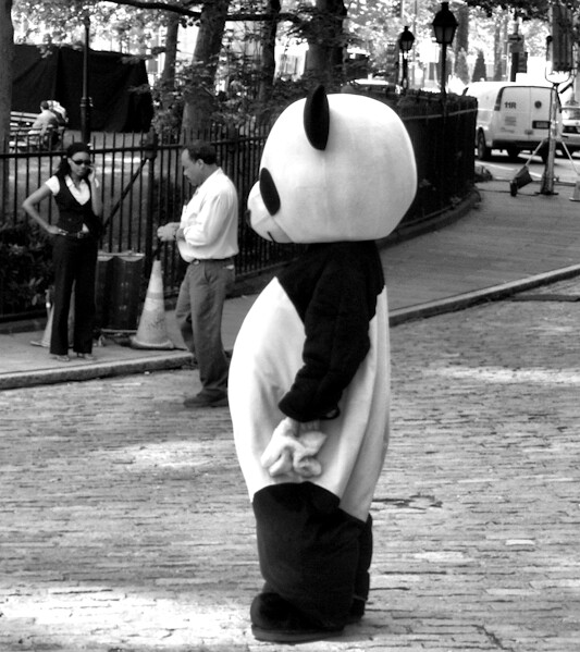 New York City | There was this random guy in a panda suit in… | Flickr