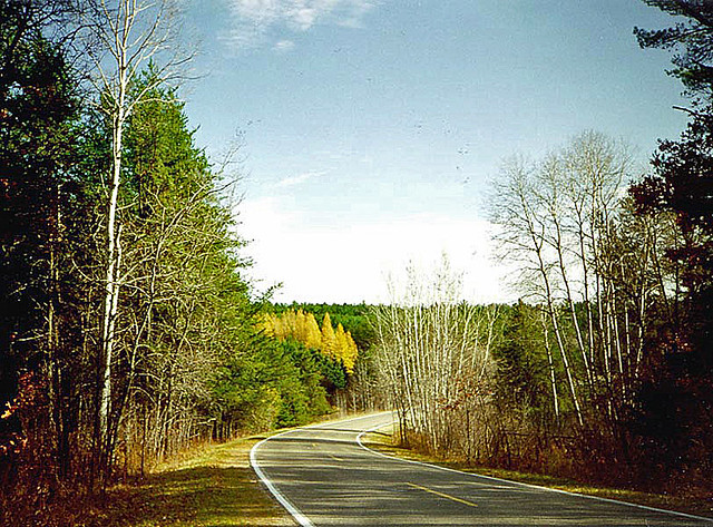 Itasca State Park, October 1996