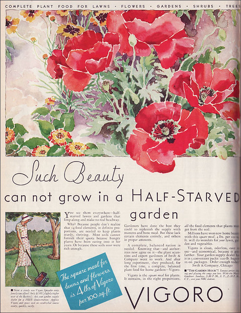 1932 Vigoro Ad - Poppies