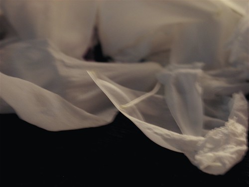 fading petals | by ochazuke