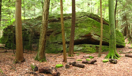 statepark green strange rock forest weird woods path boulder hike odd trail hungry geology mossy indiantrail cookforest hungryrock