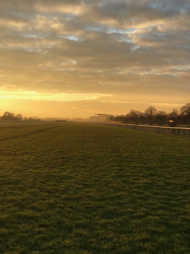 golden glow sunshine sun sunset horseracing doncaster racecourse doncasterracecourse