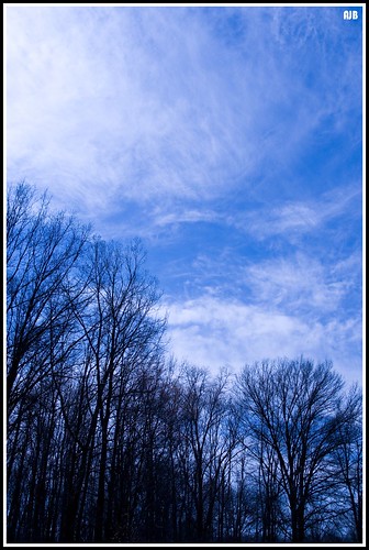blue trees ohio sky clouds spring nikon inniswood westerville d300 nikkor28200mm