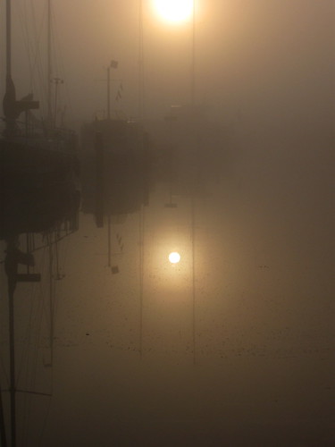 sun mist dutch fog sunrise foggy nederland thenetherlands zon friesland zonsopgang mistig fryslân woudsend wâldsein