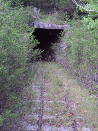 Dogpatch Forest Dogpatch USA 2009 | tinmann620 | Flickr