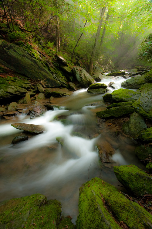 Tucquan Glen Natural Area by Michael A Lawrence