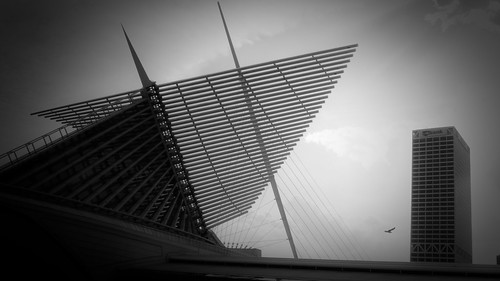 Calatrava - Spreading wings by tabrandt
