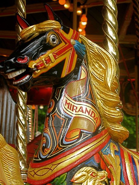 Horse on the Gallopers at Carter's Steam Fair
