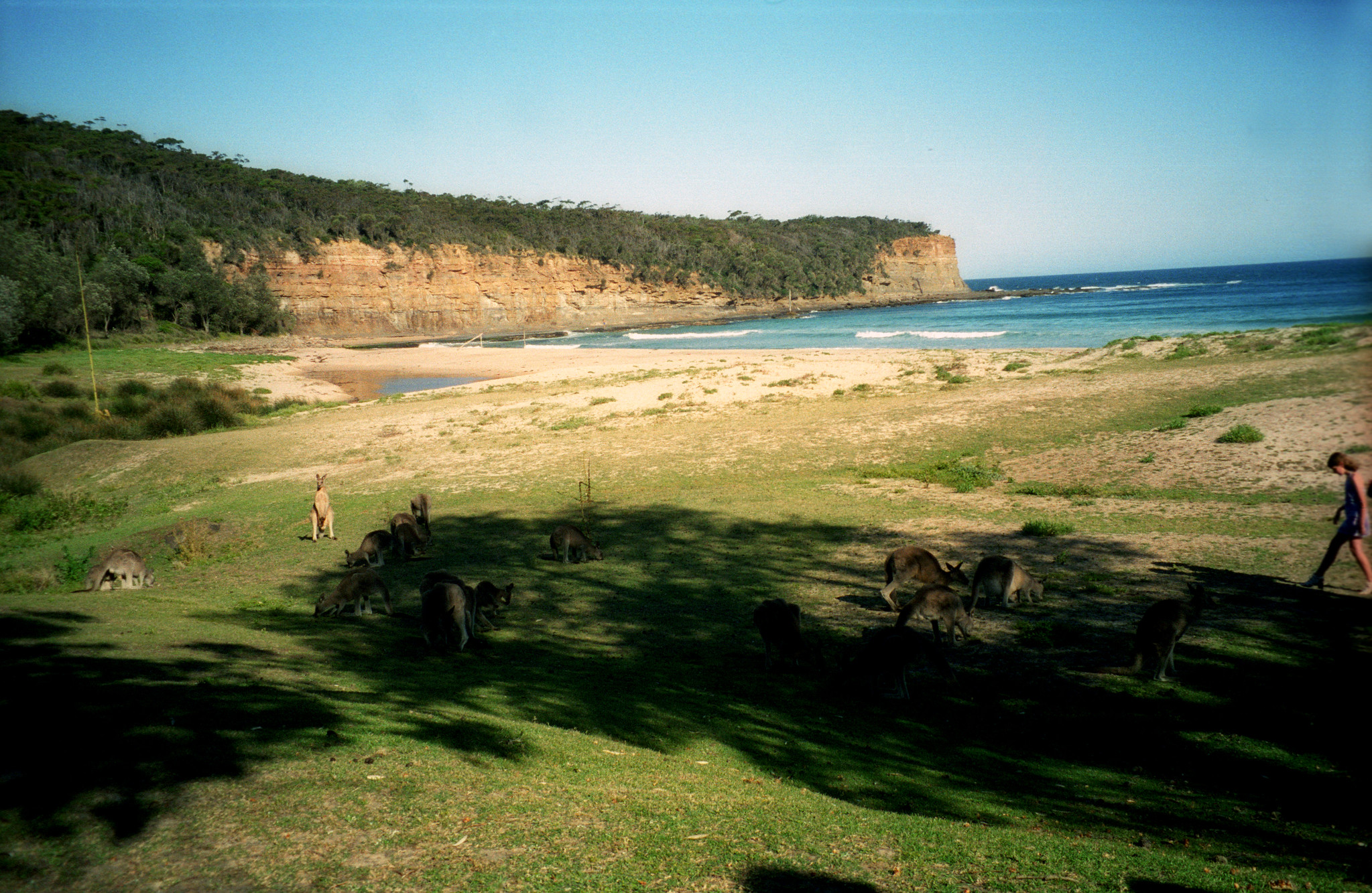 Pebbly Beach