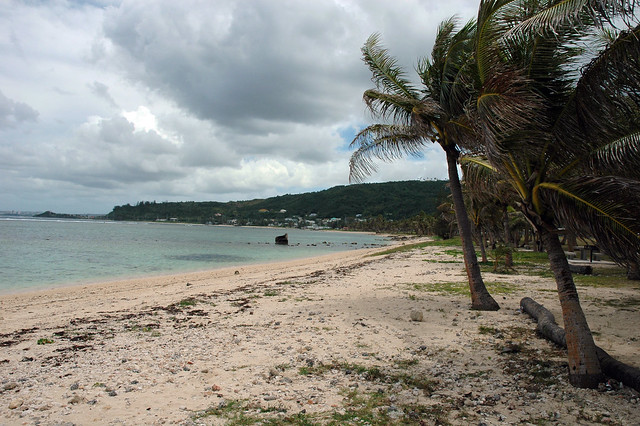 Guam Beach with Palm Trees