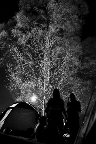 light bw tree silhouette night canon 50mm tents conversion acs vt relayforlife virginiatech r4l