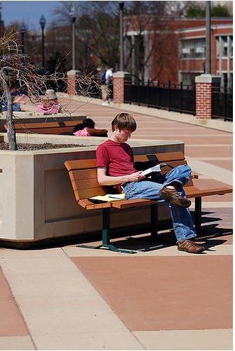Outdoor studying in the Library Plaza