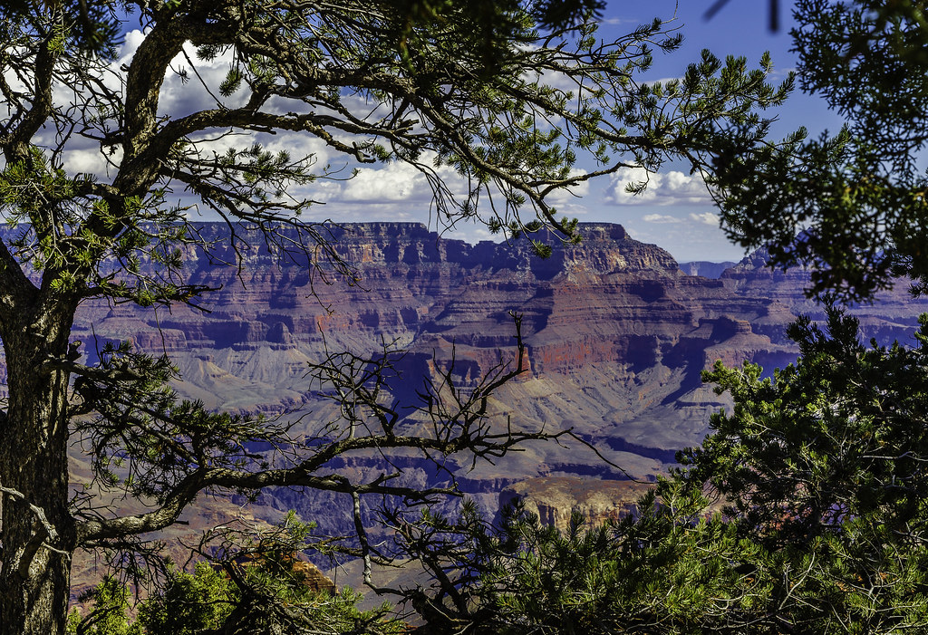 Southern Rim Gr Grand Canyon - Southern Rim | Grand Canyon - Southern Rim | Flickr