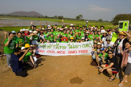 กรีนพีซจับมือเกษตรกรราชบุรี ร่วมปลูกข้าวอินทรีย์สร้างศิลปะบนผืนนา Greenpeace, farmers plant organic to create art