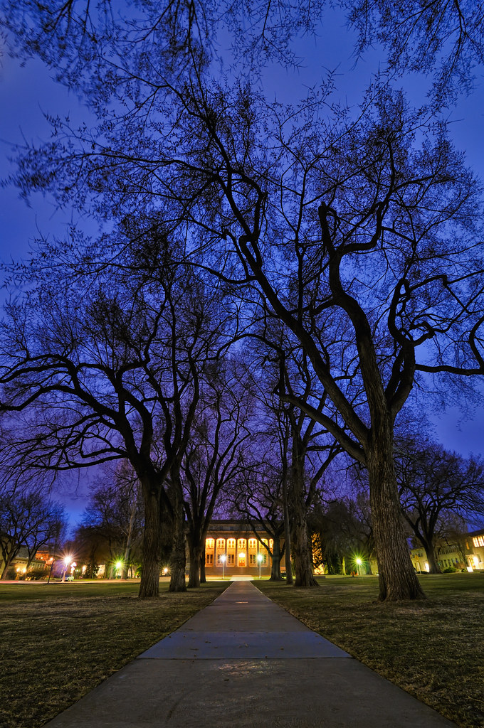 CSU Collegiate Blues by Fort Photo