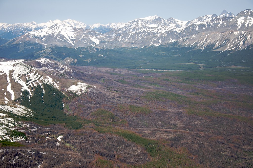 Calf Mountain