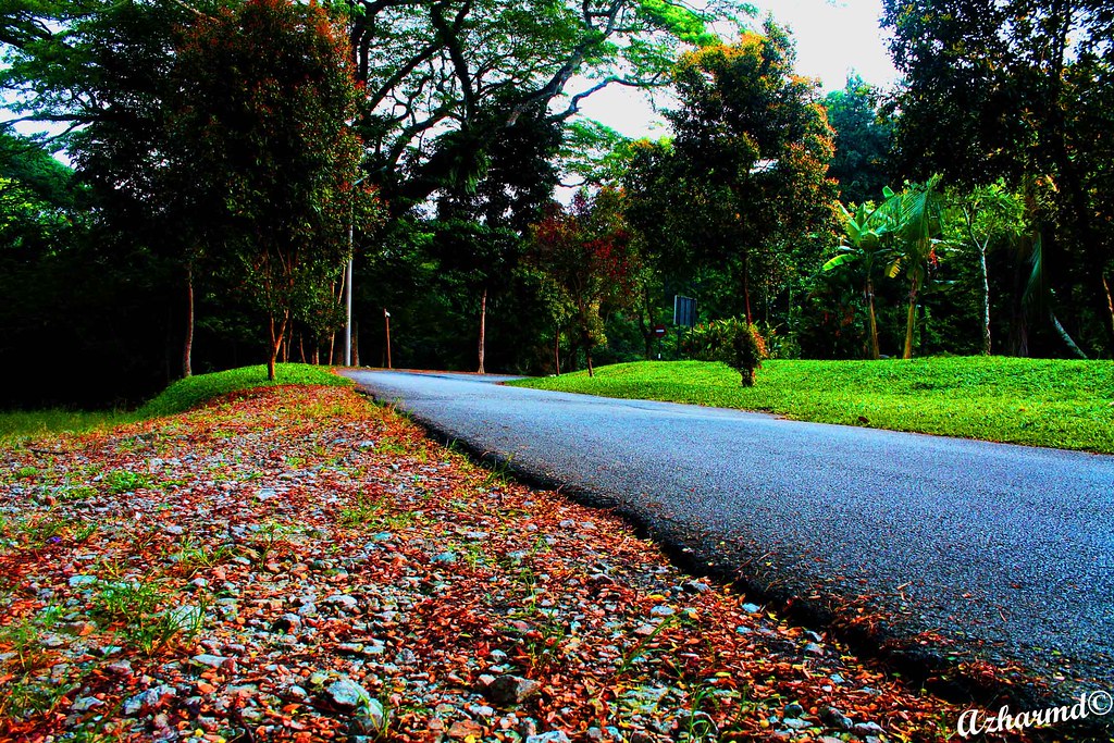 Penang Botanical Garden Entrance Fee / Government Botanical Gardens