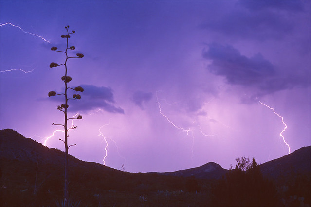 Lightning, Portal, Arizona