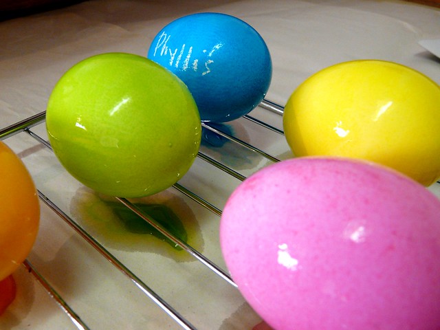 Eggs of Many Colors