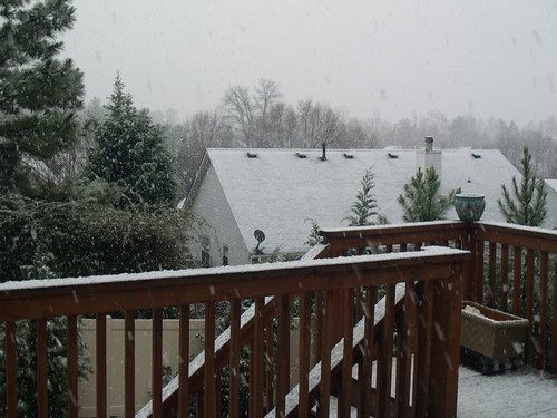 Snow increasing | by Dave and Alissa