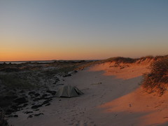 Camp in long shadows, Fire Island National Seashore