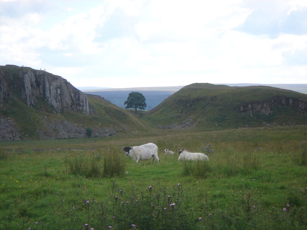 Hadrian's Wall Country