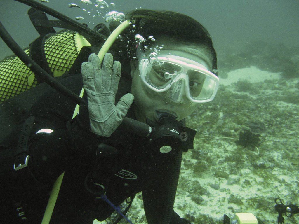 Manta Bowl