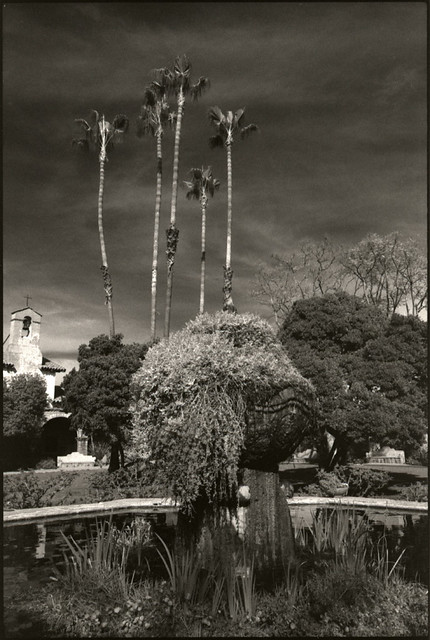 The Mission Gardens