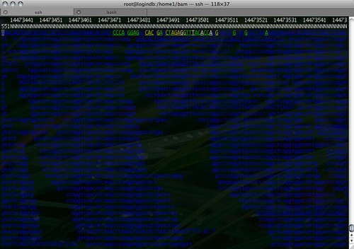 samtools tview | samtools tview aln.sorted.bam | Hong Chang Bum | Flickr
