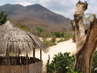 A dirt road past a palm-thatched hut and cactus toward dry forested hills at Santa María Huatulco, Oaxaca