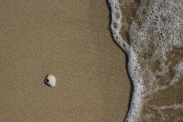 Foam by the Seaside