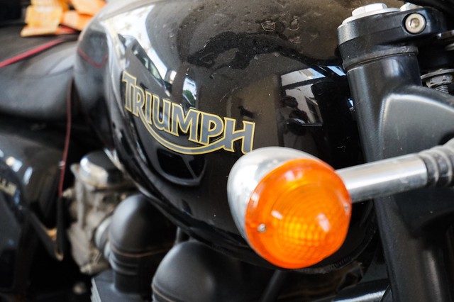 Triumph collecting dust