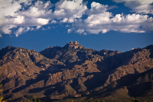 arizona cactus desert tucson catalinamountains