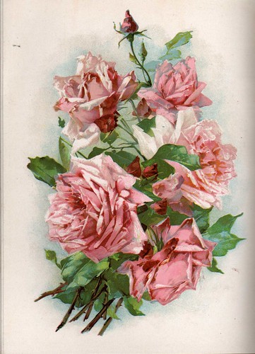 Opals pink roses2 | Vintage Book 