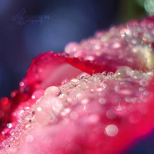 We shall find peace. We shall hear angels, we shall see the sky sparkling with diamonds. by Quadvision [Bokeh Dreaming]