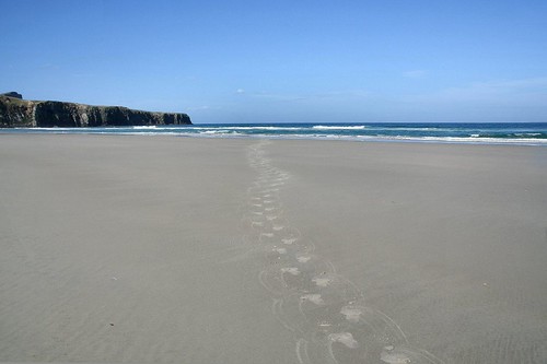 Making tracks | by Cordial06