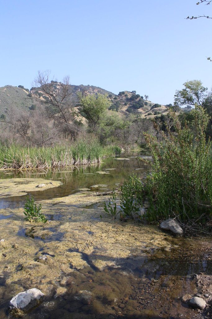 Grasslands Trail