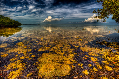 A quick stop for clarity on the way to Key West (and a little bit of clarity) by MDSimages.com