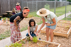 Open Plate: CAFB Teaching Garden Party