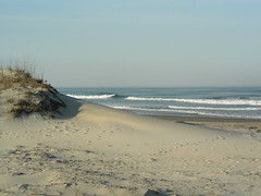 Beach at False Cape State Park