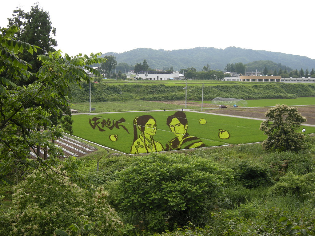 Rice Paddy Field Art in Yonezawa 2009