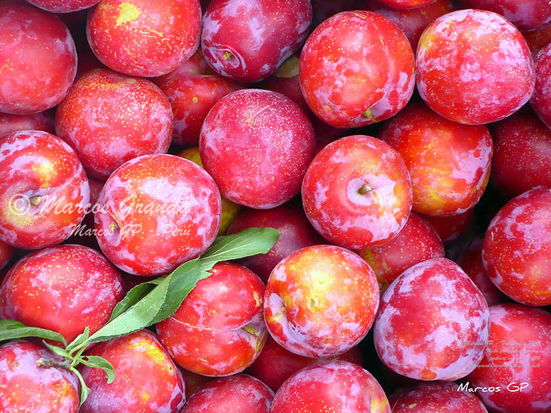 Ciruelas / plums | La ciruela es el fruto del ciruelo, árbol… | Flickr