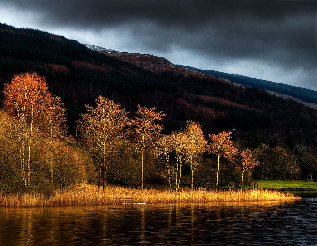 Winter Evening Sun... Loch Ard by ouldm01